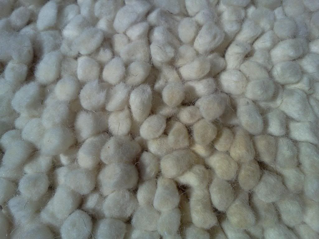 How to remove a poop stain off a a white shaggy wool rug. TruckMount